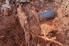 04-Leaks-on-main-water-line-into-Backflow-Damaged-by-over-growing-tree-routes